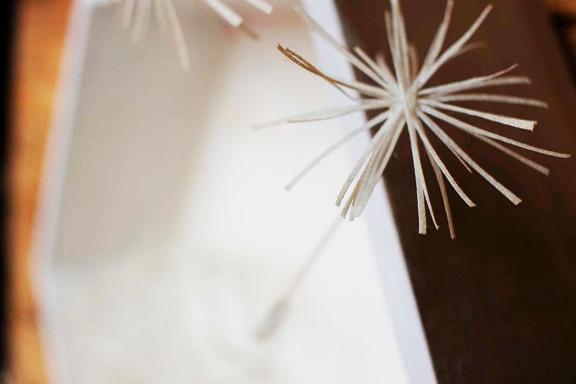 Proyecto Elementos 4