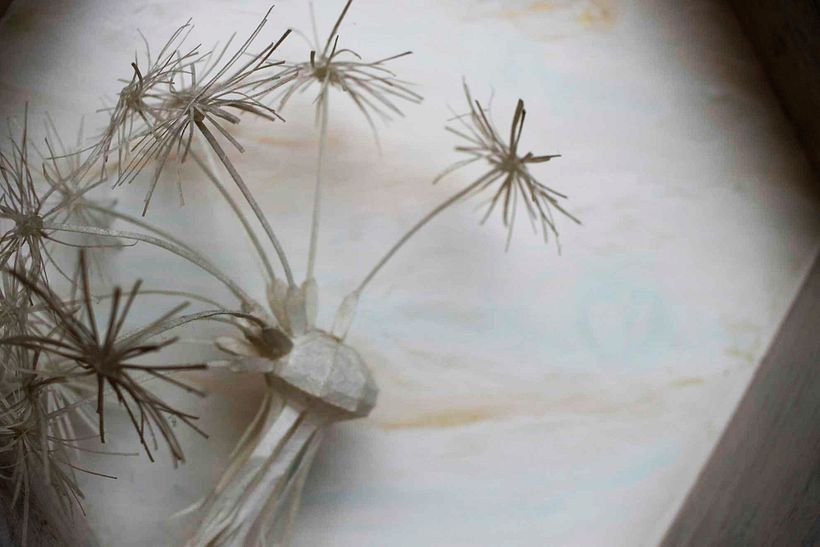 Proyecto Elementos 5