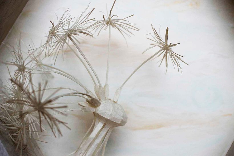 Proyecto Elementos 7