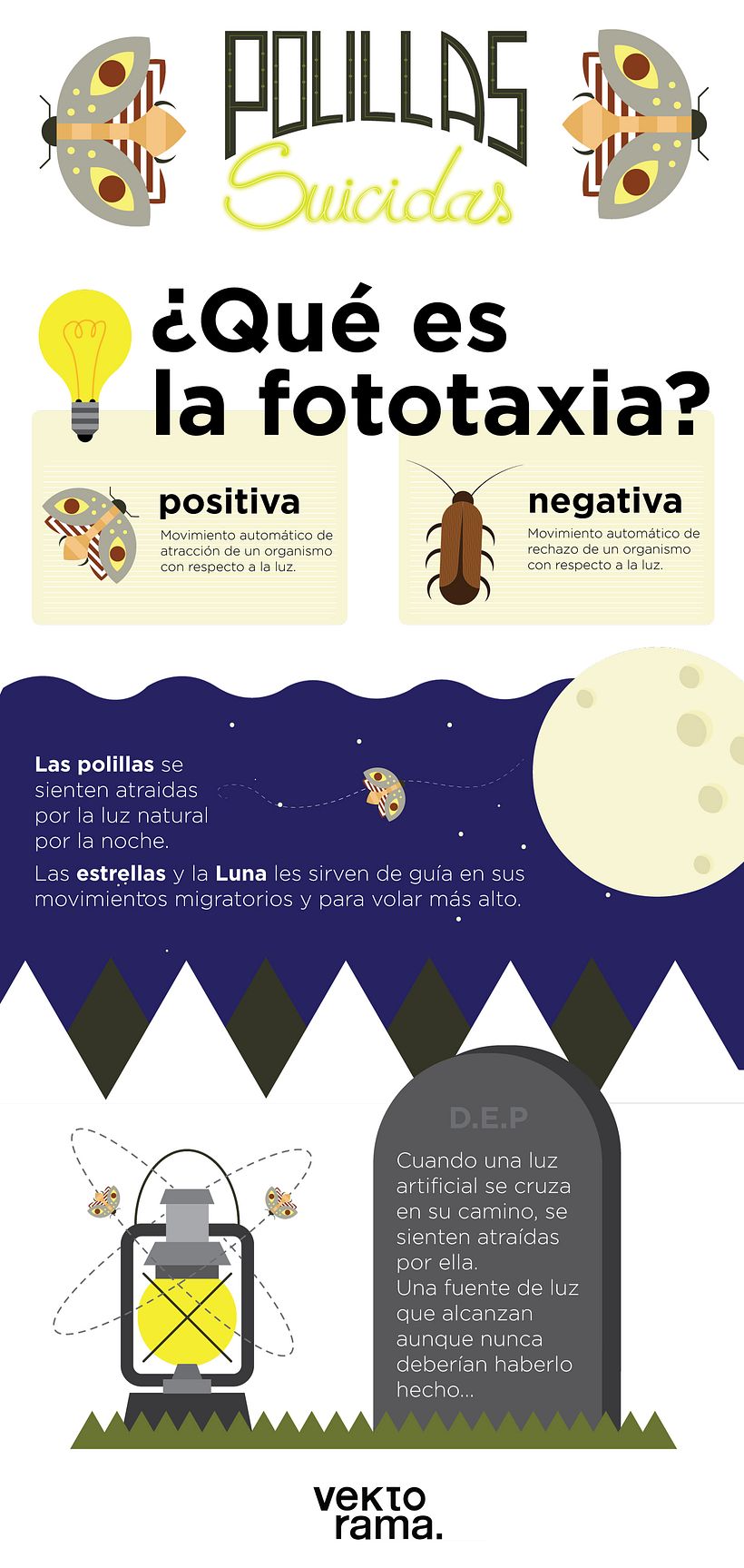 Infografía polillas suicidas -1