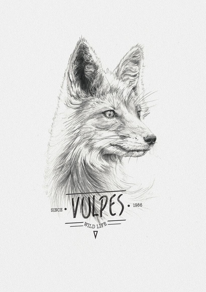 VULPES -1