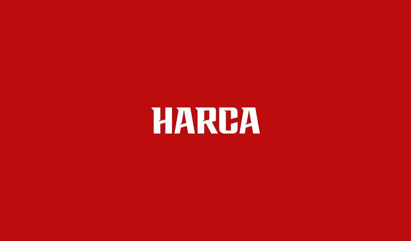Logofolio 2013-2017 3
