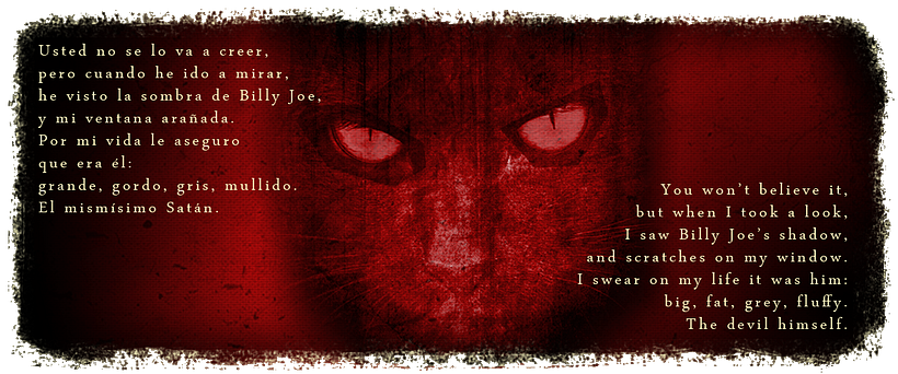 Damn Cat - eBBi Book 7