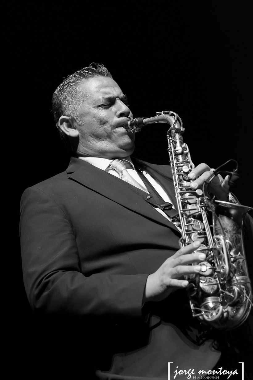 Fotografía de espectáculos, varios conciertos gruperos... 7