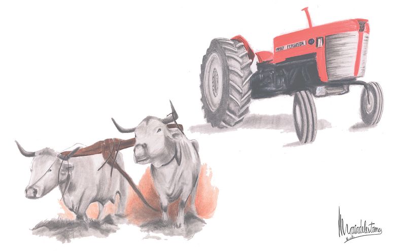 Relatos ilustrados. La ilustraciones del primer concurso de narrativa corta publicados en El 9Nou (Osona/Ripollès y el Vallès Oriental) y en el 9 Magazín 4