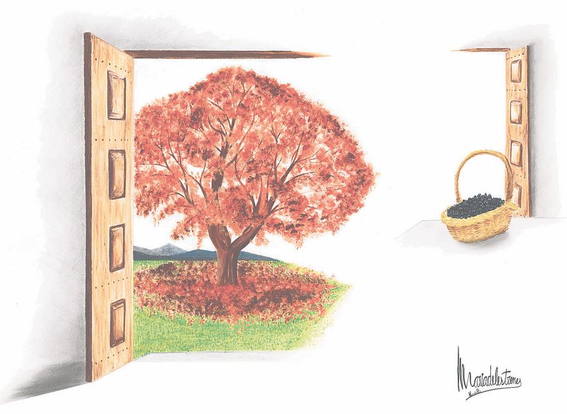 Relatos ilustrados. La ilustraciones del primer concurso de narrativa corta publicados en El 9Nou (Osona/Ripollès y el Vallès Oriental) y en el 9 Magazín 5