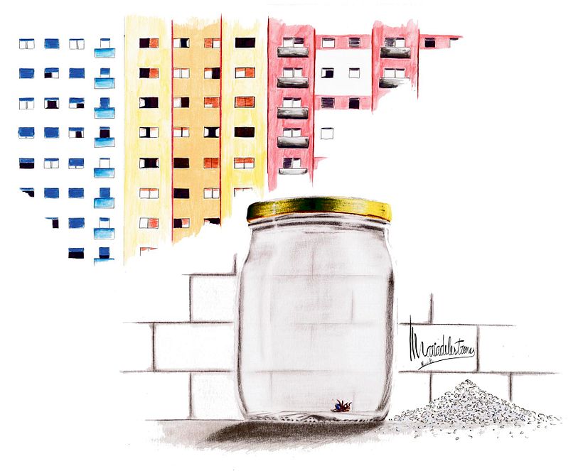 Relatos ilustrados. La ilustraciones del primer concurso de narrativa corta publicados en El 9Nou (Osona/Ripollès y el Vallès Oriental) y en el 9 Magazín 8