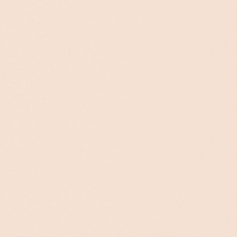 Coleoptera -1