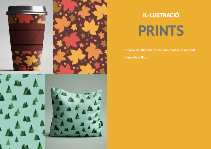 Prints 0
