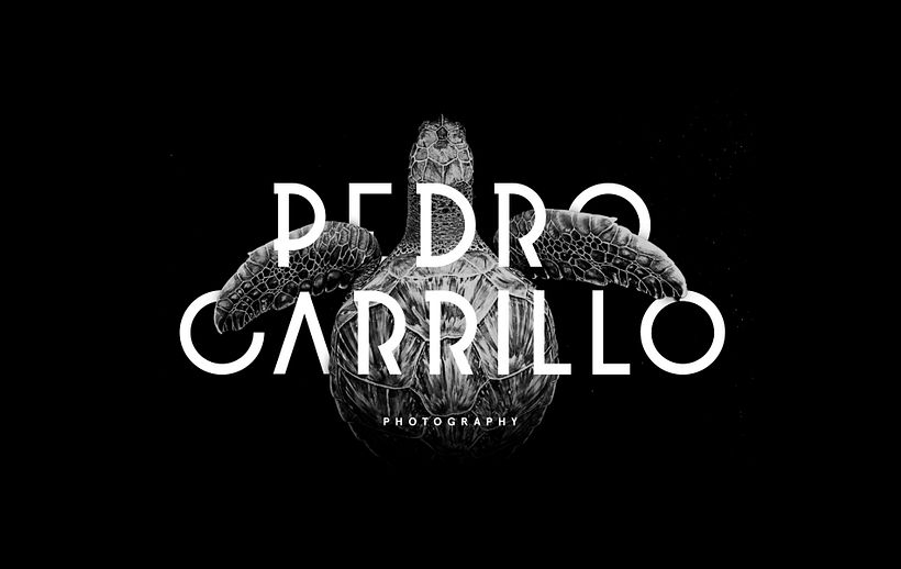 Pedro Carrillo Photography — Branding 0