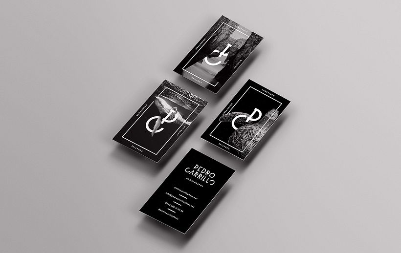 Pedro Carrillo Photography — Branding 4