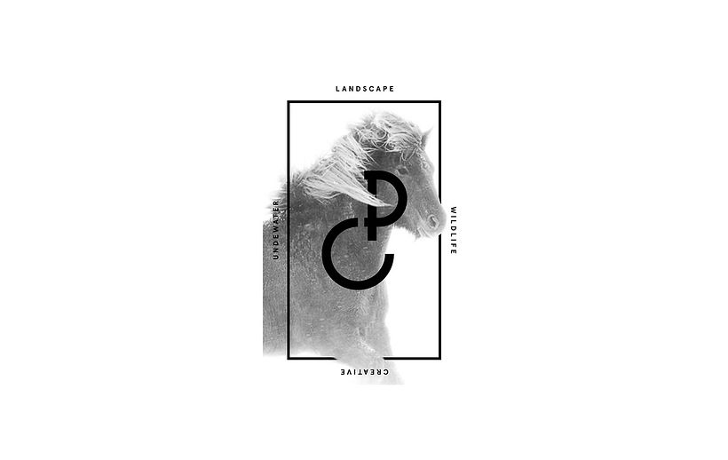 Pedro Carrillo Photography — Branding 7