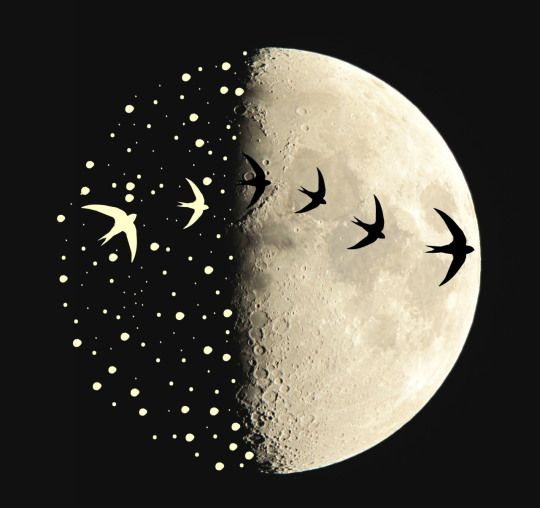 Moonwatching 0