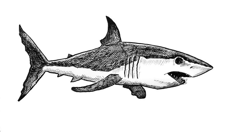 #inktober 2017 4