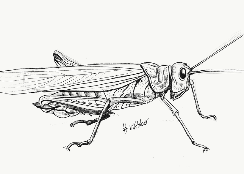 #inktober 2017 1