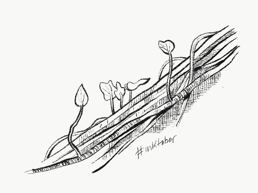 #inktober 2017 3