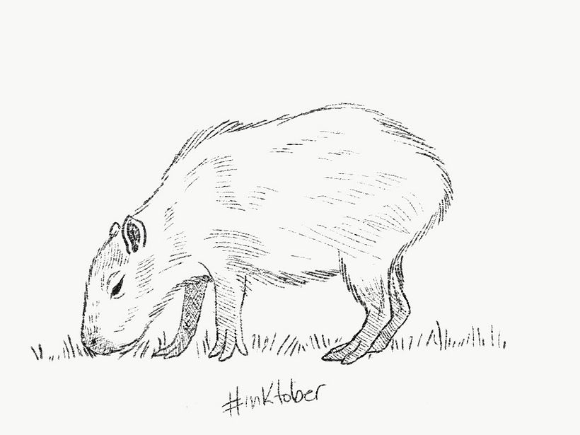 #inktober 2017 0