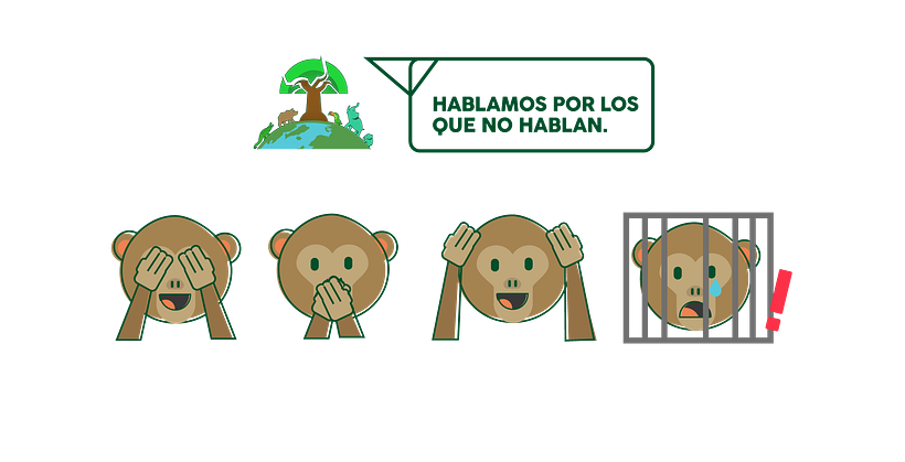 Rebranding | Portavoces del Ambiente. 14