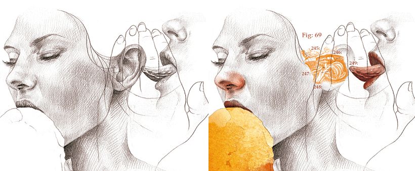 Palmera de huevo - Revista LAMUY 3