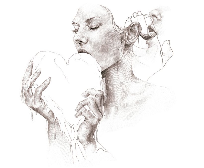 Palmera de huevo - Revista LAMUY 2