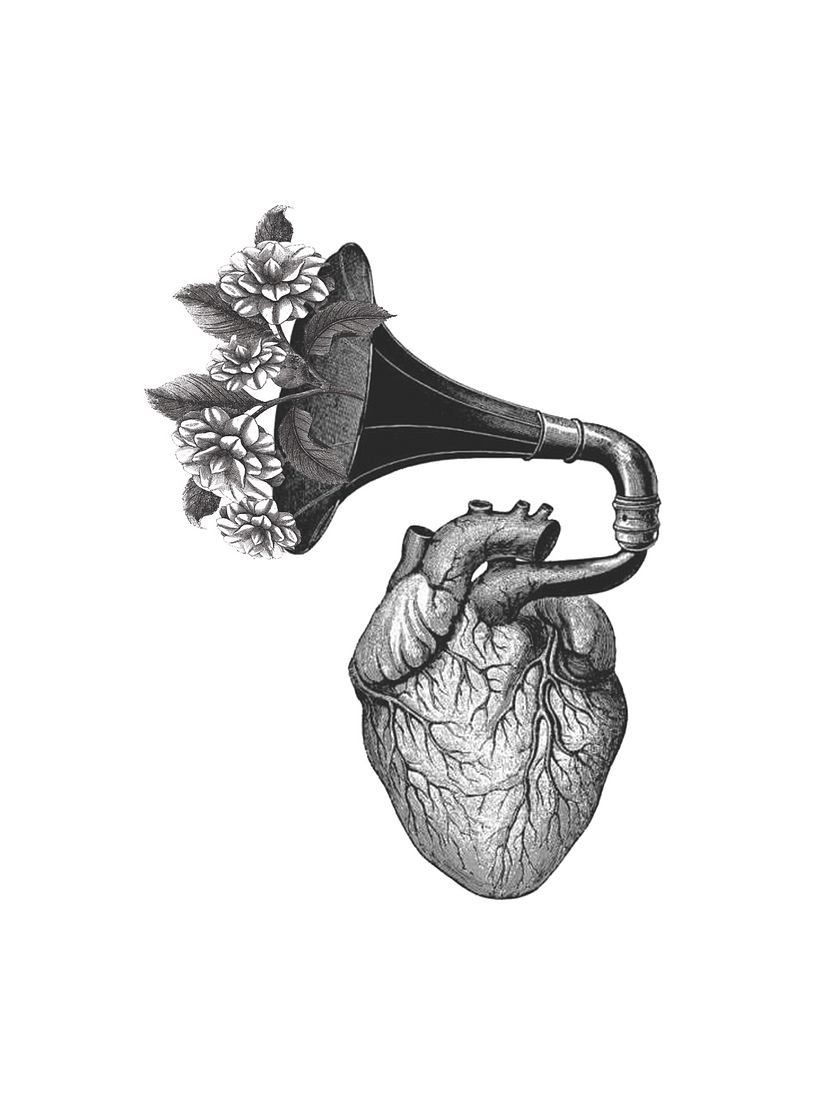 "Corazón Musiquero" -1