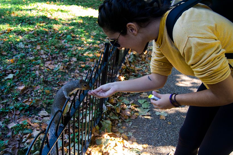 Discovering London with a camera 7