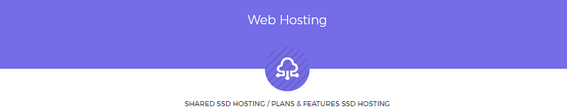 Hosting Premium Barato - CloudLinux, LiteSpeed, DDOS Protection, Discos SSD 1