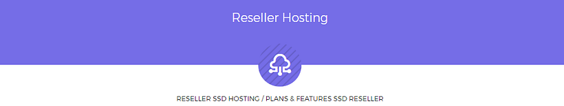 Hosting Premium Barato - CloudLinux, LiteSpeed, DDOS Protection, Discos SSD 3