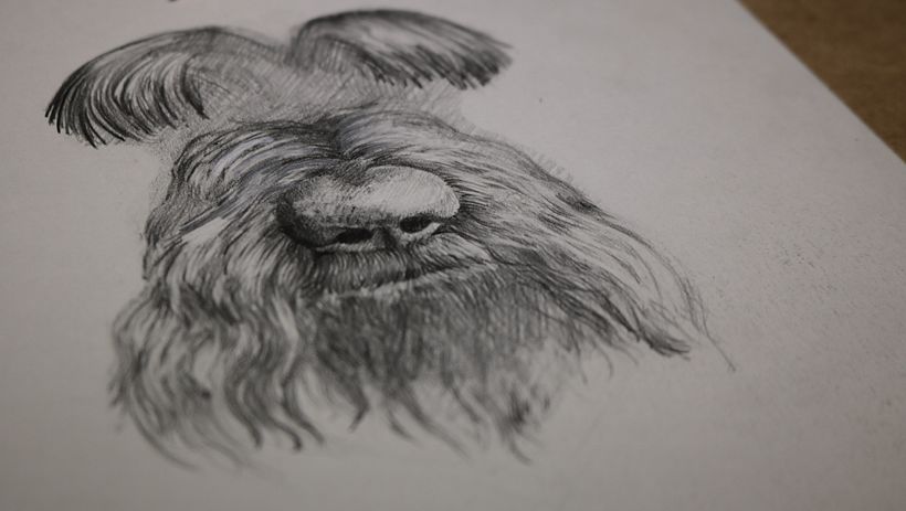 Perro 1