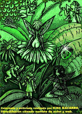 Illustrations 56