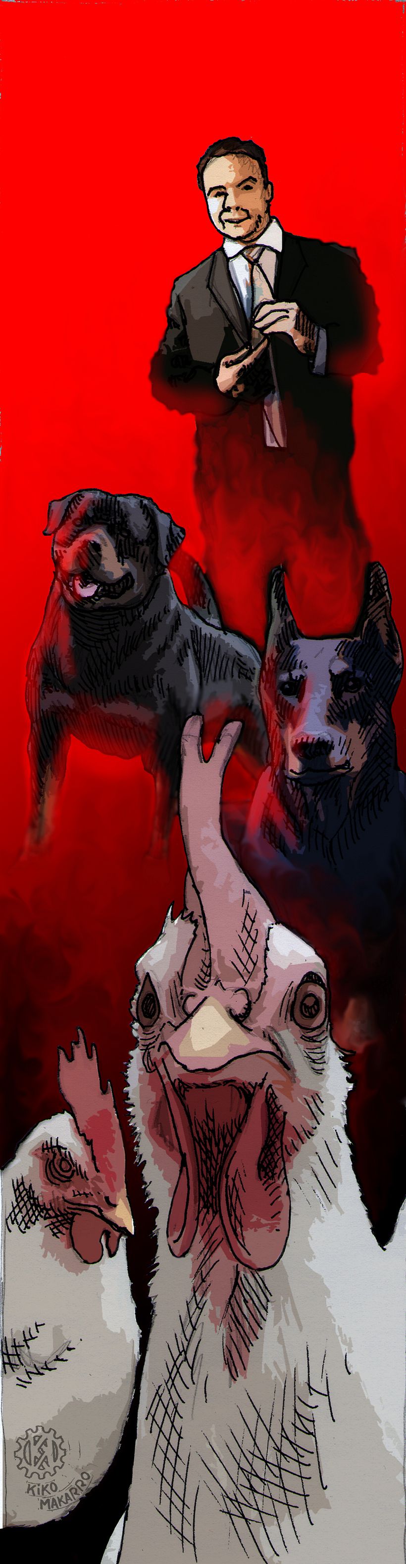 Illustrations 18