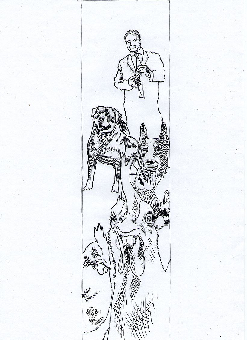 Illustrations 19