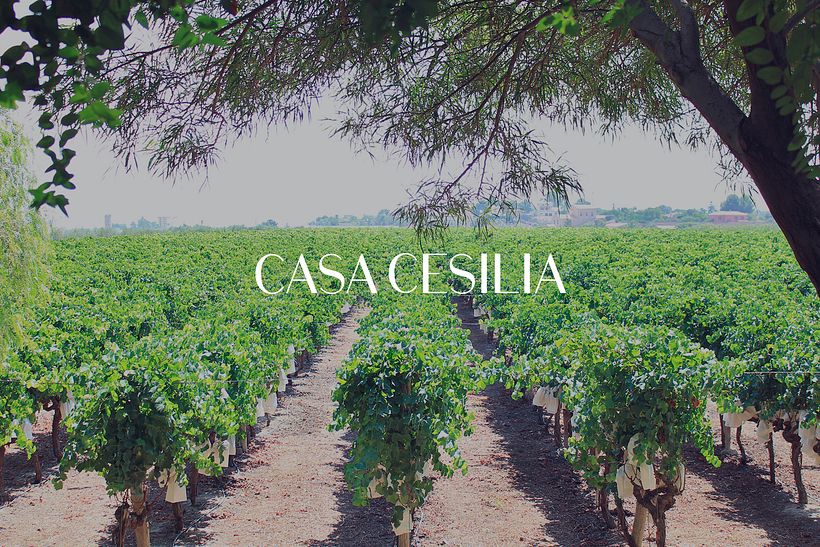Bodegas Casa Cesilia 0