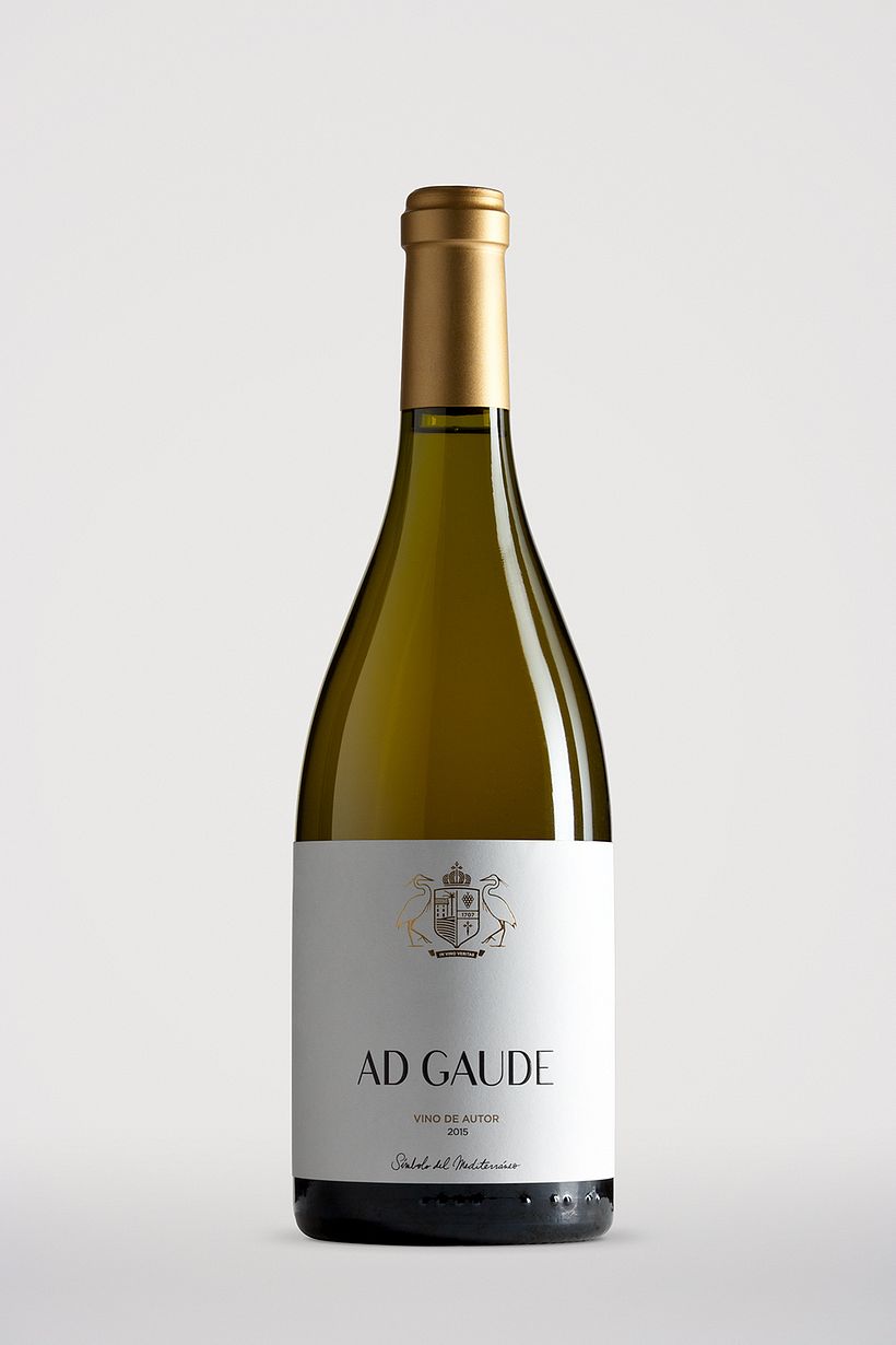 Bodegas Casa Cesilia 8