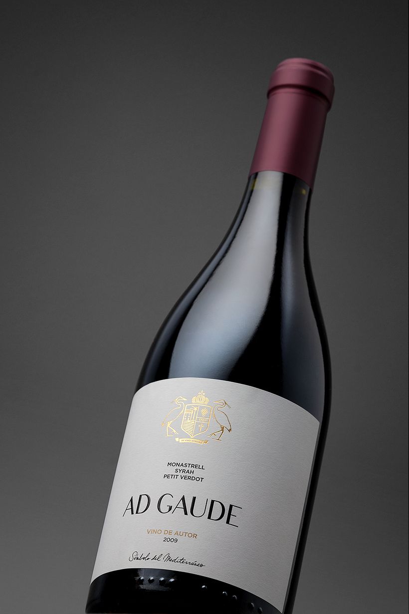 Bodegas Casa Cesilia 11