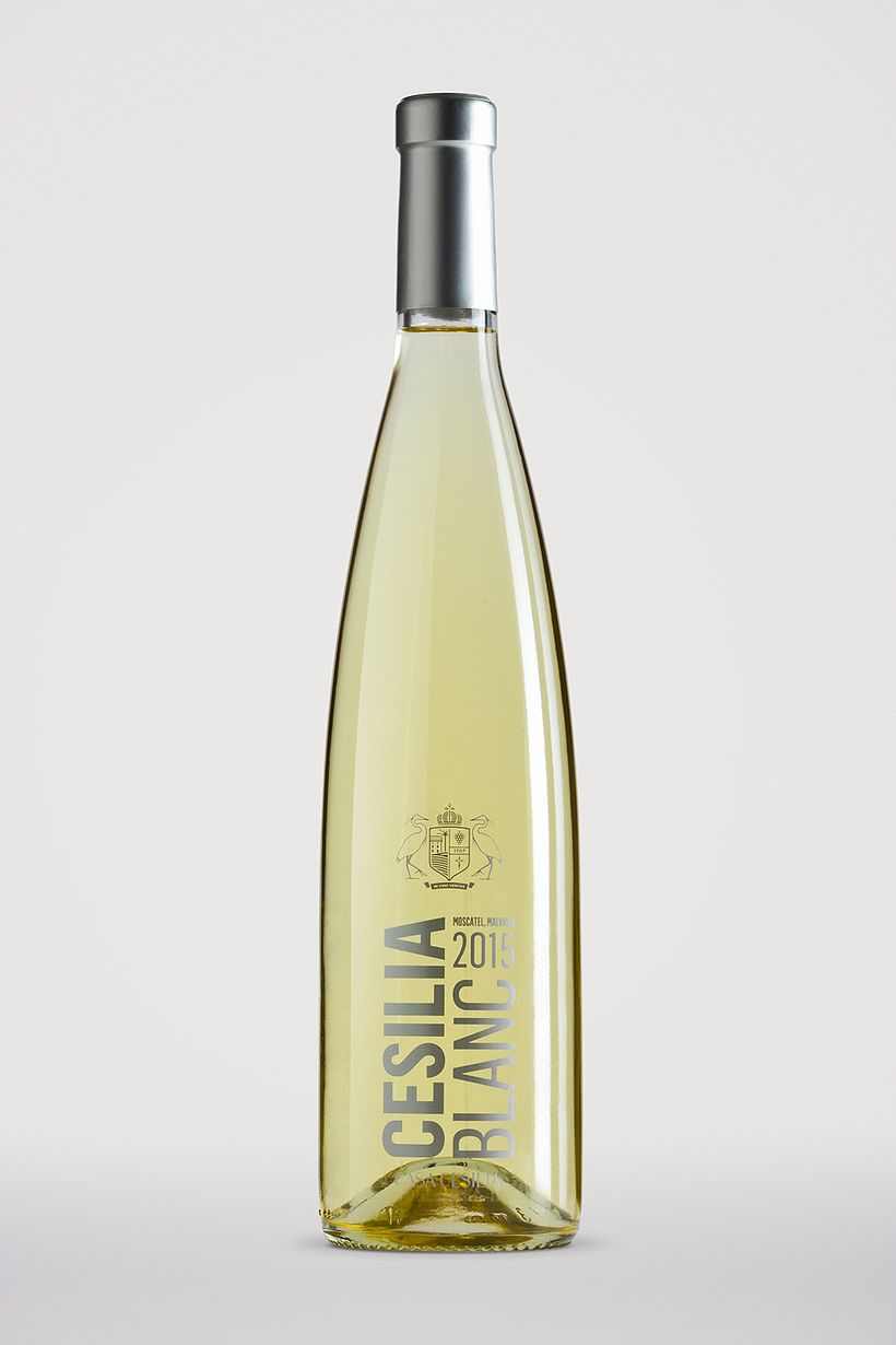 Bodegas Casa Cesilia 14