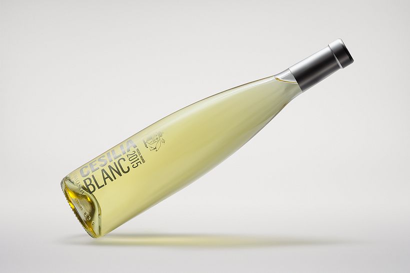 Bodegas Casa Cesilia 15