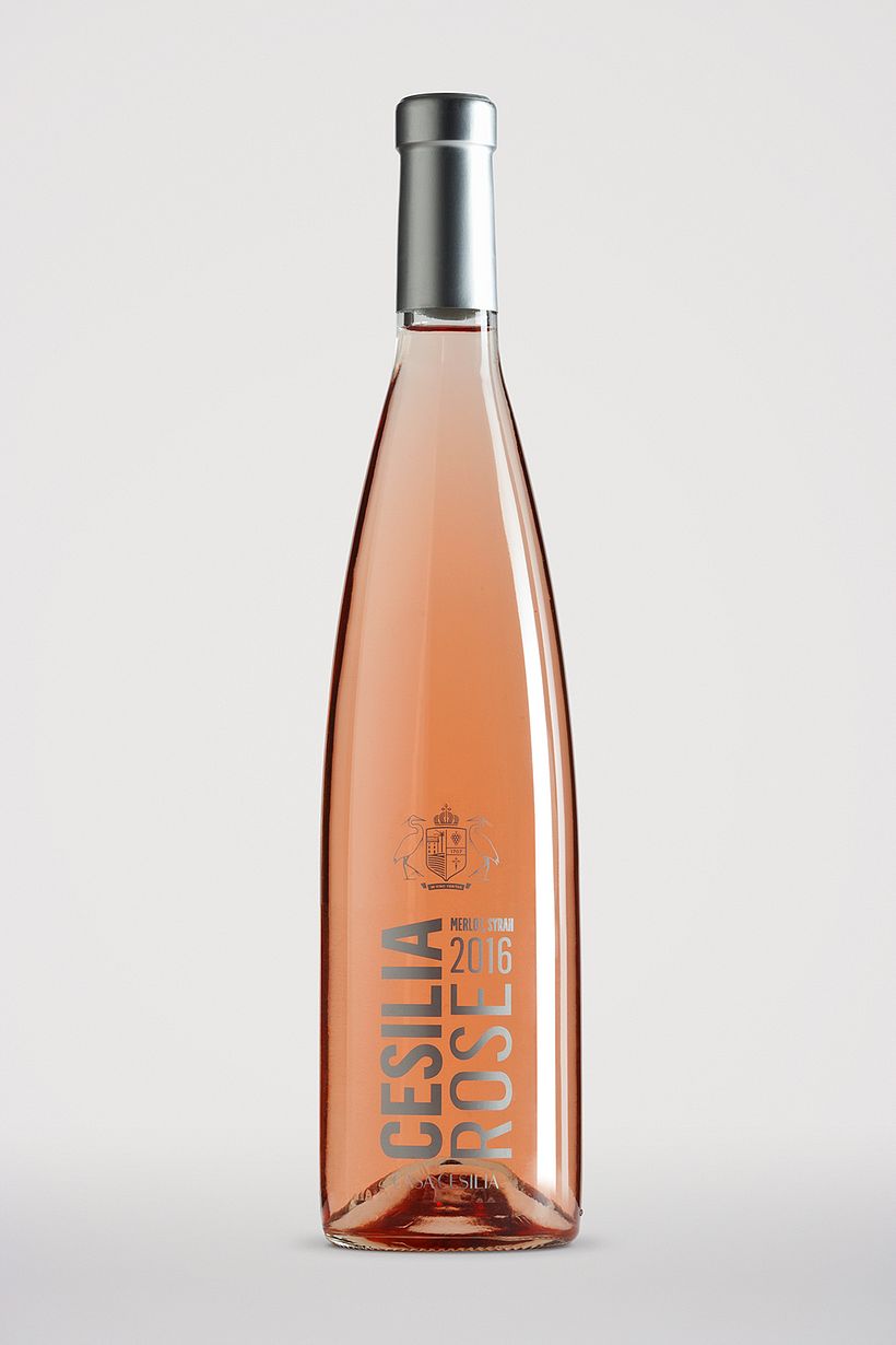 Bodegas Casa Cesilia 21