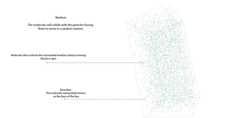 Collective Movement - Brownian motion 1