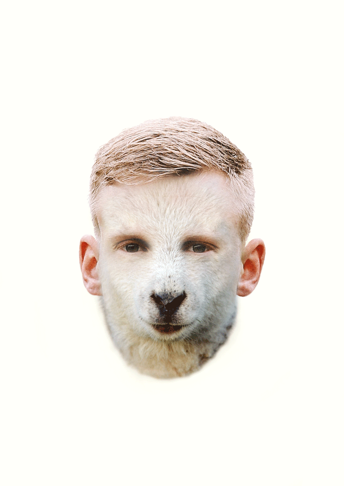 Meu Projeto de Curso: Ilustração Editorial 4