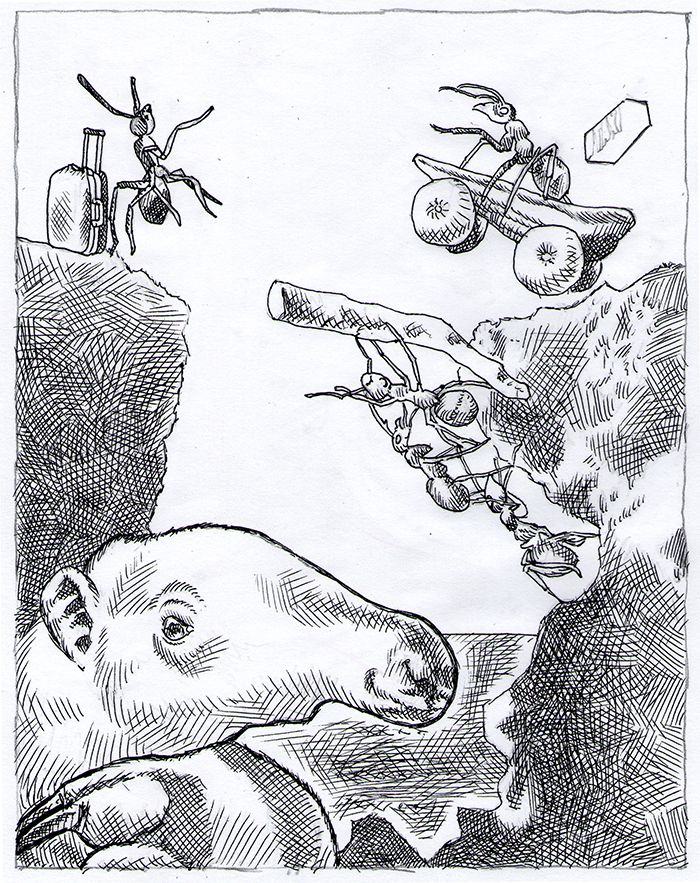 Illustrations 47