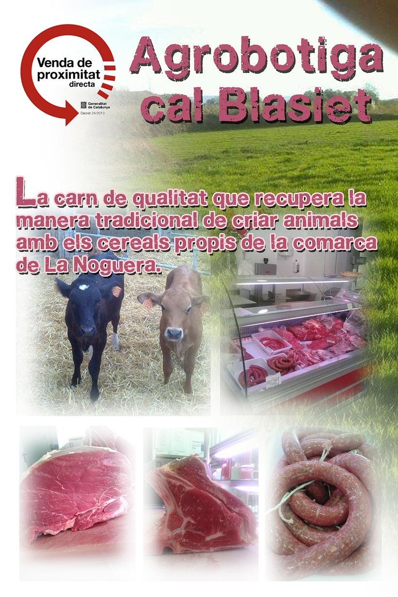 Flyers. Folletos. 1