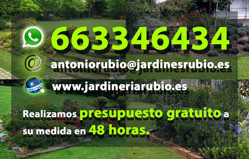 Flyers. Folletos. 10
