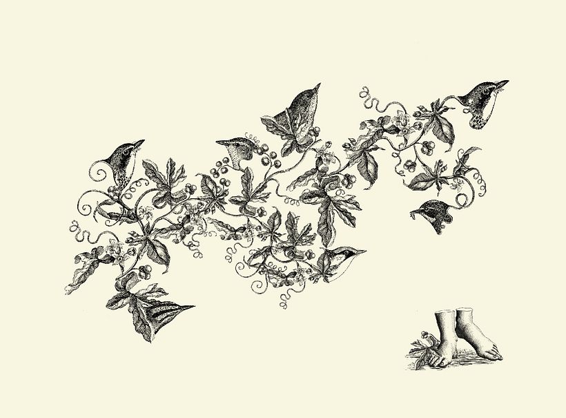 Refractario – Collage - Ilustración tradicional