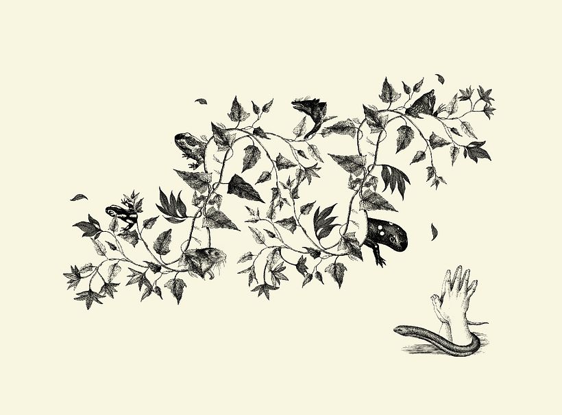 Refractario – Collage - Ilustración tradicional
