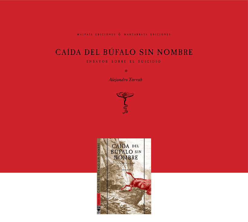 Caída del búfalo sin nombre - Collage 0