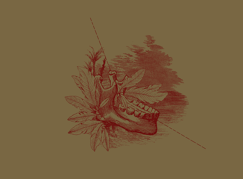 Caída del búfalo sin nombre - Collage 2