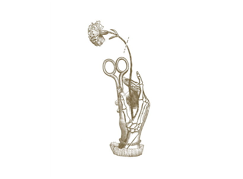 Caída del búfalo sin nombre - Collage 2