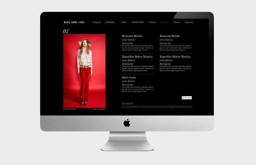 Solido INC. - Web Design