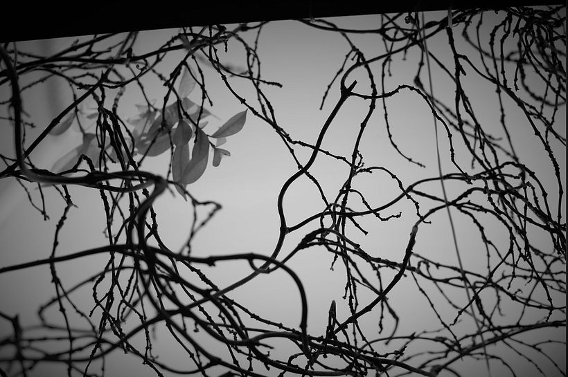 [ Mis fotos ] AKA mercedes_werner.tumblr.com 8